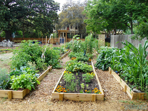 Community Garden Applications Open