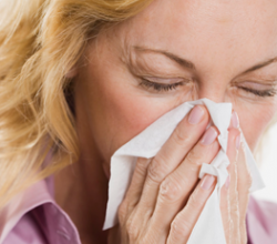 Allergy Basics: Prevention and Relief
