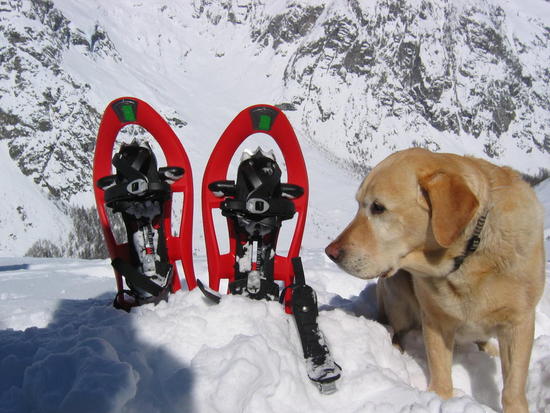 Snowshoe Stroll (Ages 10-12)